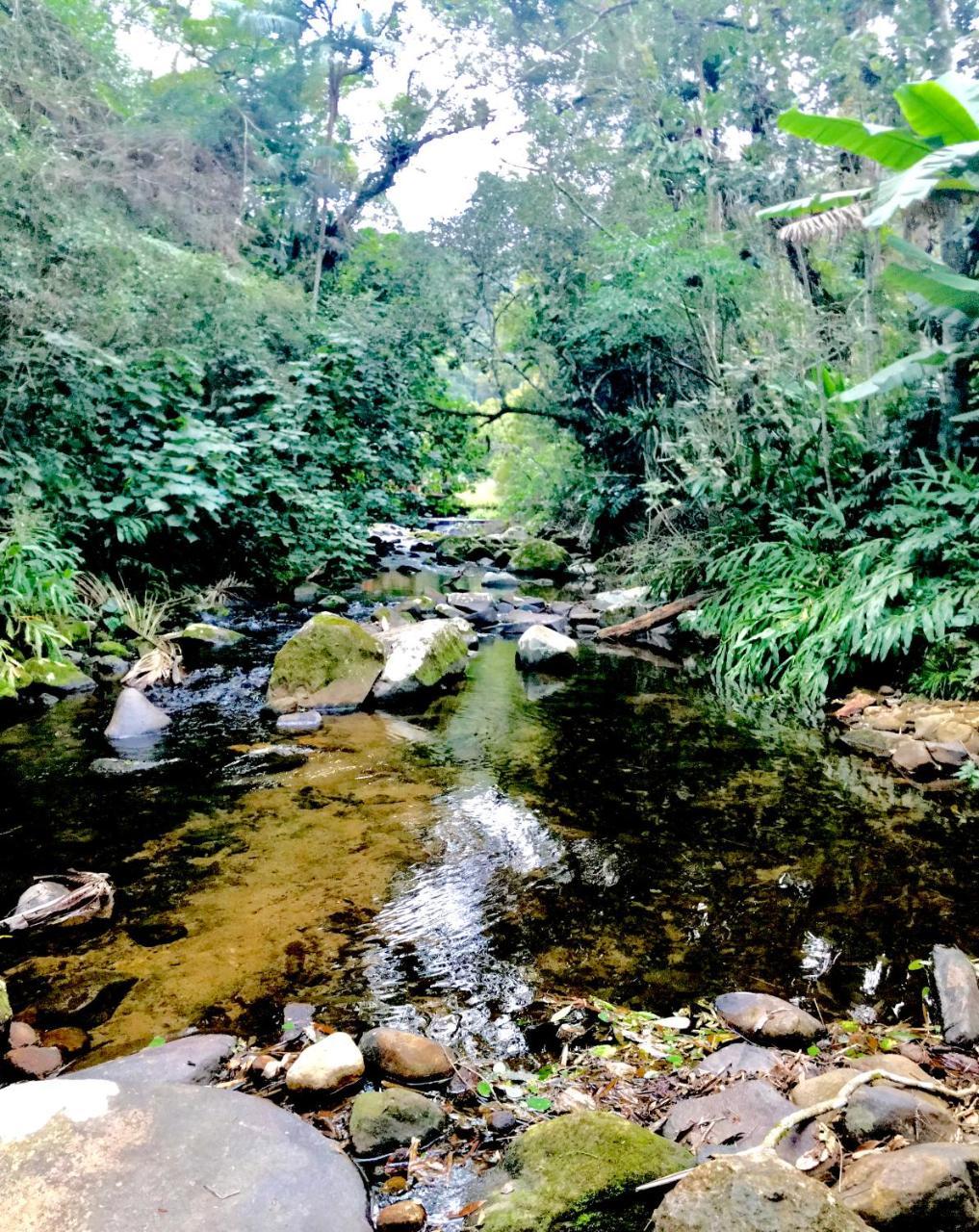 Fachoalto Budget Bed & Breakfast Petrópolis Eksteriør bilde